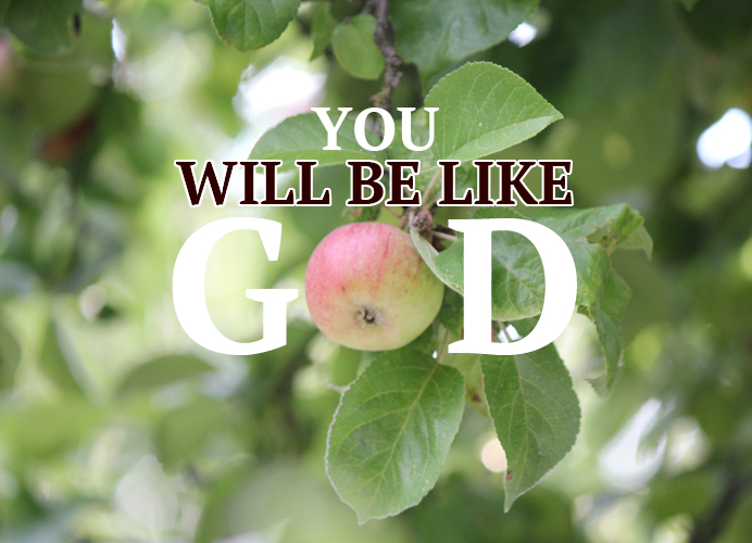 3648B5CF-BB42-4006-87FF-2B40FDBFB88B